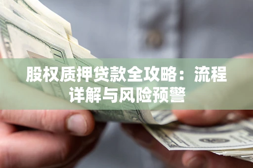 北京股权质押贷款全攻略：流程详解与风险预警