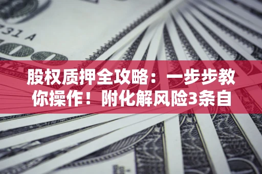 北京股权质押全攻略：一步步教你操作！附化解风险3条自救法则