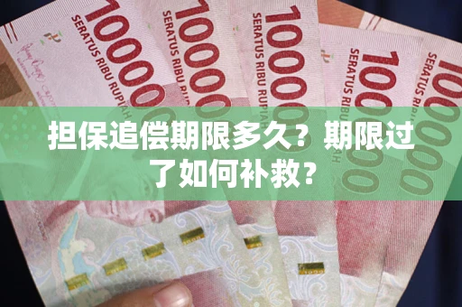 北京担保追偿期限多久？期限过了如何补救？