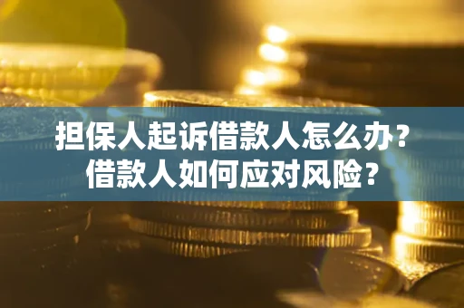 北京担保人起诉借款人怎么办？借款人如何应对风险？