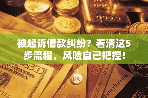 北京被起诉借款纠纷？看清这5步流程，风险自己把控！