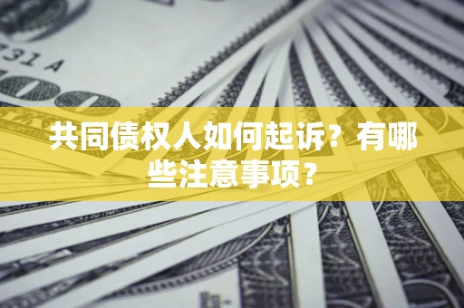北京共同债权人如何起诉？有哪些注意事项？